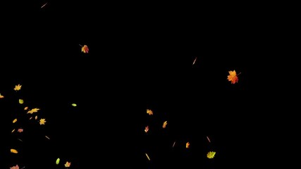 A flurry of colorful autumn leaves blows across the screen from right to left. Seamless loop with alpha channel for overlay on any background. Seasonal, nature, or transition element - Powered by Adobe
