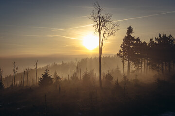 Evening on the Great Owl mountain in Owl Mountains Landscape Park, protected area in Lower Silesia Province of Poland