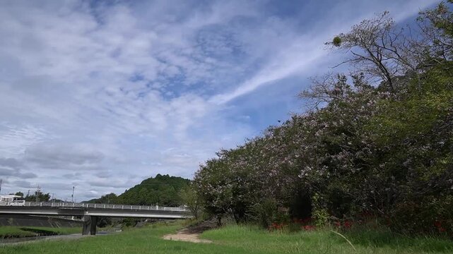 静岡県浜松市天竜区二俣町 二俣川彼岸花群生地 2025年9月25日　雲の流れ　タイムラプス

