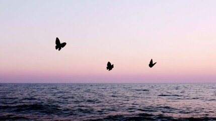 Fototapeta premium Butterflies are dancing by the seaside at sunset