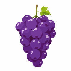 red grape isolated on white