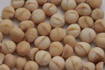 Macadamia close up 