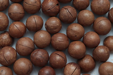 Macadamia in shell