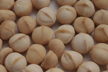 Macadamia close up 