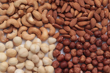 Types of nuts macadamia, cashew, hazelnut, almond