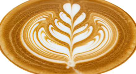 latte art coffee cup design foam milk 6.