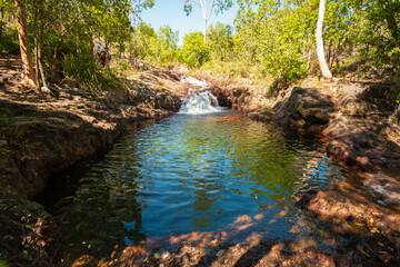 Waterfall and gorge in the forest