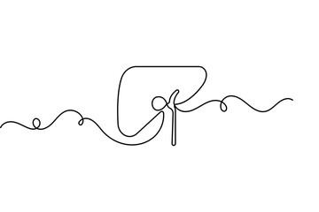 Liver anatomy organ outline continuous one line drawing medical minimalist style vector icon
