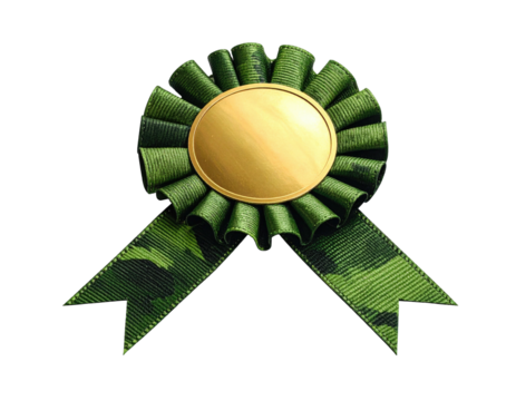 Gold medal with green camouflage ribbon