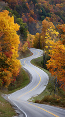Obraz premium Curving Forest Road Through Autumn Foliage – Vibrant Yellow and Orange Leaves in Late Fall Scenic Landscape