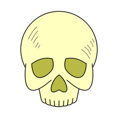 skull. dangerous symbol. poisonous symbol. warning. vector illustration