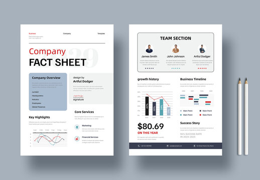 Clean Corporate Business Fact Sheet Design