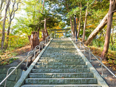 The Chitose Shrine is a Shinto shrine located in Chitose town, Japan. Sited in Aoba Park near New Chitose Airport.