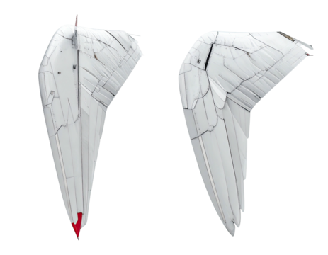 Two broken white wings, angled apart, showing layered structure and red details