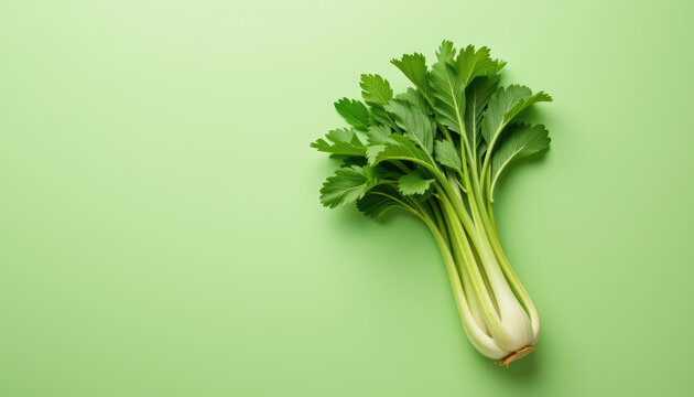 Celery stalk green vegetable fresh produce crisp leaf kitchen ingredient healthy snack dietary - Powered by Adobe