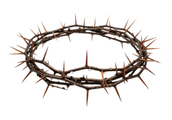 Isolated thorn crown with water droplets, religious concept representing sacrifice and suffering