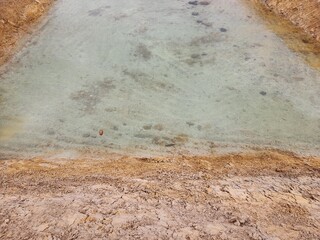 The reserve water source in the farmer's farm.