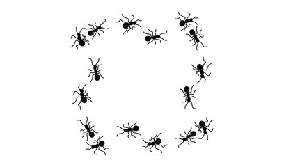Silhouette of ants forming a rectangle shape on white background