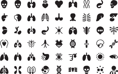 Human Body Silhouette Icons – Anatomy, Medical, Health Vector Set