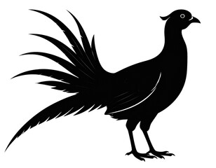 silhouette of a bird