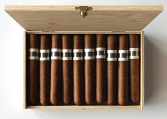 Wooden Box of Generic Unbranded Cigars on White Background