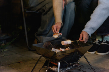 Winter outdoor camp, friend people woman happy enjoying sweet marshmallows roasting over glowing fire, cozy gathering provides warmth during chilly winter night activity in forest wilderness