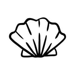 Hand drawn vector illustration of a seashell