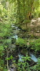A breathtaking waterfall cascading through lush greenery, surrounded by forest and rocks, capturing the beauty and power of untouched nature.