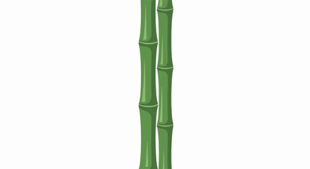 Naklejka premium Two green bamboo stalks, isolated against white background, present delicate bamboo canes with smooth texture and distinct nodes. Bamboo stems show shades of green, symbolizing growth and freshness.
