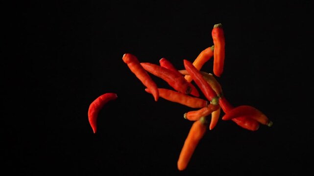 Slow motion shot of fresh Datil peppers falling and bouncing towards camera on black background. Premium Florida specialty pepper footage perfect for hot sauce commercials and gourmet content.