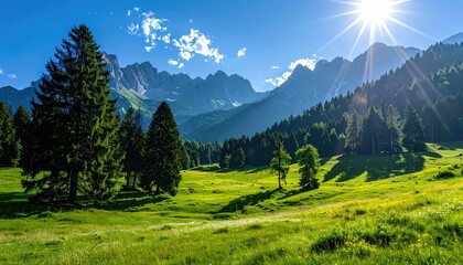 Fototapeta premium Sunlit alpine meadow, vibrant green grass, tall evergreens, majestic mountain range backdrop, clear blue sky, scattered wildflowers