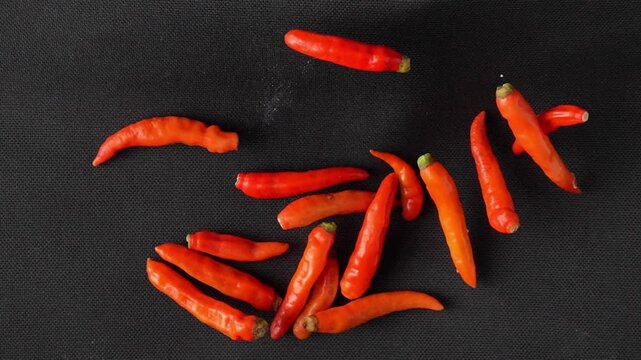 Slow motion shot of fresh Datil peppers flying towards camera on black background. Premium hot pepper footage perfect for food commercials and spicy culinary content.