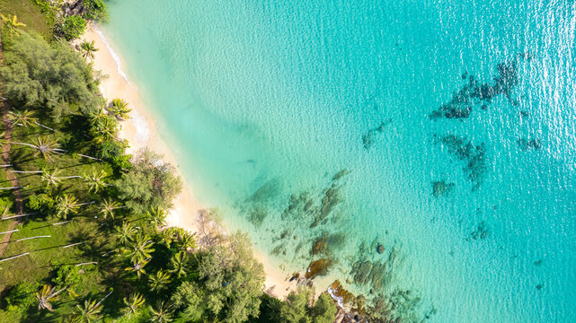 Aerial view of the dark green forest and the sea. Natural ecosystems of forests and oceans. concept of natural forest conservation - Powered by Adobe