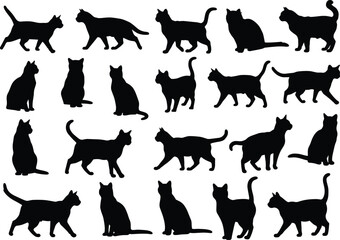 Cat silhouettes illustration, black feline artwork