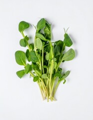 Obraz premium Fresh Watercress with Green Leaves Isolated on Light Background for Leafy Vegetable Object and Organic Nutrition Concept