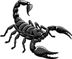 Scorpion illustration, black insect artwork, detailed arachnid drawing, dangerous predator design 