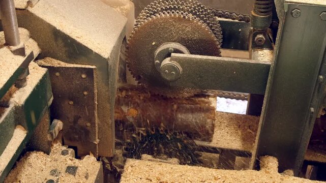Logs moving on conveyer transporter to cutting machine at woodworking plant. Timber processing and woodworking industry. Working process sawing wood boards on saw-mill factory in cut workshop.