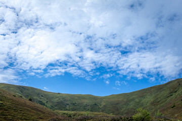 Summer Mountain View in Borzhava Valley, Carpathians
