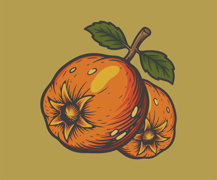 A madieval favorite medlar Vintage style drawing design
