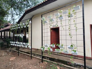background of vertical garden with white and yellow pots