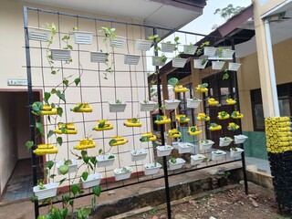 background of vertical garden with white and yellow pots