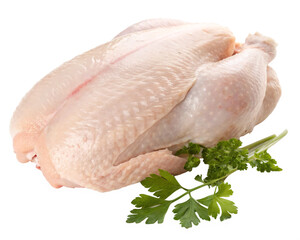 whole raw chicken isolated on white