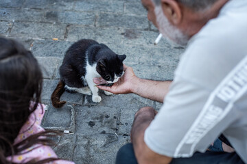 Turkish man smoking cigarette feeding street cat with a small fish at Galata area of Istanbul Turkey