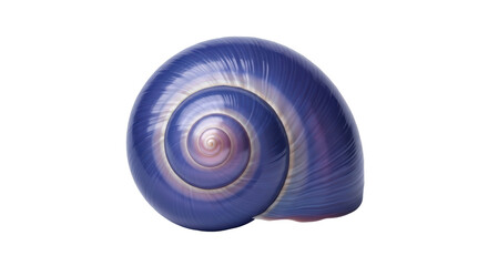Isolated Nautilus sea shell, deep blue marine invertebrate, nature, elegance, spiral shape