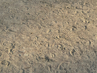 sand texture background with footsteps prints. sunny summer day at the beach, no people around and sun rays