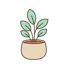 plant in pot