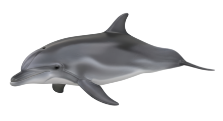 Isolated bottlenose dolphin with gray skin tone swimming in a graceful and lifelike pose