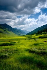 Lush green meadow under dramatic cloudy sky.