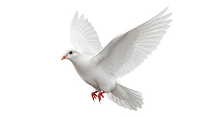 Isolated dove in flight, graceful white bird with wings spread, symbol of peace, spirituality