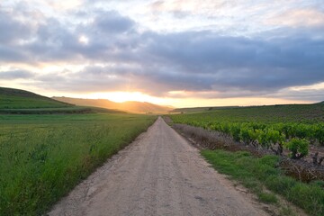 길거리 경관 네이처 들판 구름